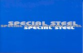 New Special Steel · 2017. 4. 28. · Cts. 17 03 üCNoSS C t SEA C 19M ' 'Mncis Ck25 cm 35 45 Cm cm 60 Cr2 FRANCIA txc 32) 32 (XC38H " c,sa zoe.cs cask CSSk csse.l L8S23 FRANCIA Co