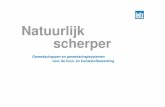 Presentatie Centraal Examen Timmeren 2013 - Externe Versie ... @ Leitz Waddinxveen / 03-10-2012 / Jeroen van Dijk “schadelijke effecten van langsstromend (hemel)water of inwateren