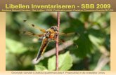 Libellen Inventariseren - SBB 2009 - Madese NatuurVriendenmadesenatuurvrienden.nl/wp-content/uploads/2015/02/... · 2015. 2. 23. · Libellen inventariseren Wat?: Inventariseren Libellen