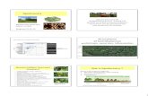 New Agroforestry - bosgroepen · 2019. 3. 19. · Agroforestry Agroforestry, goed voor bodem en boer Bosgroep 31-01-19 Agroforestry betreft landgebruiksystemen waarbij het planten
