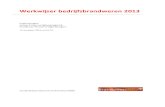 Werkwijzer Bedrijfsbrandweren 2013 - IFV · 11/14/2013  · Toelichting op jurisprudentie Bijlage 14 Toelichting op bedrijfsbrandweeropleidingen Bijlage 15 Het weglaten van de bijlagen