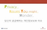 Privacy Issues You might Wondercpoforum.or.kr/privacy2014/PDF/Track C2.pdf금융위원회와 금융감독원은 2014. 4. 11. '금융분야 개인정보 유출 재발방지 종합대책'의