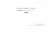 Acute Angle Cloud White Paper-JP0705 Angle Cloud白皮书 日语版.pdf · ッサブル技術に基づいてグローバル分散型クラウドコンピューティングのベーシックサービ
