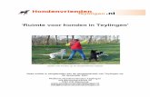 ‘Ruimte voor honden in Teylingen’ · 20-12-2007  · Voor het lichamelijke en geestelijke welzijn van een hond is loslopen noodzakelijk. Een veilig losloopgebied is ontzettend