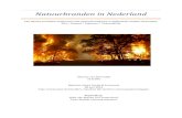 Natuurbranden in Nederlandspinlab.vu.nl/wp-content/uploads/2016/09/Bsc_Thesis... · 2018. 11. 5. · 2 Samenvatting Deze bachelor thesis is een beschrijvend onderzoek naar natuurbrandrisico