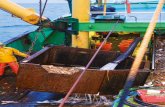 Foto: aan boord van het vissersvaartuig van Geert Luickx · 2016. 12. 2. · van vis en week- en schaaldieren 1,97 1,79 1,75 1,56 1,45 17,33 16,52 14,54 15,34 14,66 totaal 10,70 10,84