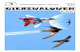 GIERZWALUWBESCHERMING - NEDERLAND GIERZWALUWEN · Stuur het op naar de redactie; we zijn altijd op zoek naar mooie projecten over gierzwaluwen om met elkaar te delen. We hopen dat