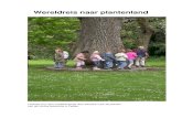 Wereldreis naar plantenland versie 2013cultuureducatiegroep.nl/wp-content/uploads/2014/05/... · ingaan op het “huidige” seizoen. Voor de wandeling door de Hortus maken we groepjes