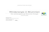 Windenergie in Brummenbeleid van de gemeente Brummen en de visie van Brummen Energie (op basis van haar statuten). Hoofdstuk 3 geeft een beeld van de wijze waarop windenergie kan bijdragen