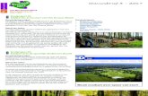 Nieuwsbrief 3 - 2017 - Het Groene Woud · Nieuwsbrief 3 - 2017 Omschrijving project Edelherten horen oorspronkelijk thuis in de Brabantse natuur en hebben een belangrijke rol als