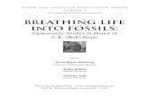 New Series Editors Kathy Schick and Nicholas Toth breathing life … · 2012. 11. 14. · ing–Vertebrate Taphonomy and Paleoecology, edited by Behrensmeyer and Hill (1980). This
