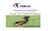 Invasieve Exoten - Edelzanger.com · 2019. 8. 7. · “tropische vogels “. Hieronder verstaan we dan ook alle tropische zangvogels, papegaaien, lori’s, kaketoes, parkieten, tropische