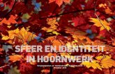 Sfeer en Identiteit In Hoornwerk · Leeswijzer ‘Sfeer en identiteit in Hoornwerk’ is opgebouwd uit 3 onderdelen. In het eerste deel wordt het totale plangebied Hoornwerk beschreven.