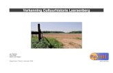 Verkenning Cultuurhistorie Laarsenbergboshistorie.nl/pdf/Neefjes2008-LaarsenbergVer... · cultuurhistorie en ecologie tegen elkaar af te wegen. Deze verkenning bestaat uit twee delen.