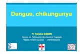 Pr Fabrice SIMON - Infectiologie€¦ · Dengue = 2 ème cause de FROM mais aucun décès (BEH 2002) DH exceptionnelle Pacifique Tahiti 1991, 2001 (36000 cas), Nouvelle-Calédonie.