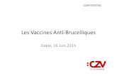 Les Vaccines Anti-Brucelliques - WordPress.com• B. abortus : S19 and RB51 • B. melitensis: Rev-1 • Efficacious CONFIDENTIAL • Stable (international standards) • Live attenuated,