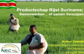 Productschap Rijst Suriname;suriname-rice.com/wp...Zalmijn-Presentatie...Final.pdfAlgemeen Overheidsbeleid en Specifiek Rijstbeleid Machine-diensten leveranciers Min LVV Min RO Min