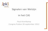 Signalen van Welzijn in het CJG - PK working solutionspkworkingsolutions.nl/media/pdf/Signalen_van... · Congres Putten 20 september 2012 . Binnenkomer •Vertel eens kort aan je