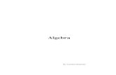 Algebra 2005 2 - Faculteit Industriële Ingenieurswetenschappen … · 2014. 9. 17. · Algebra 3 1.2 Een n-de machtswortel uit een reëel getal Een n-de (n ∈ IN0) machtswortel