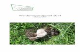 Weidevogelrapport 2014 Weststellingwerf... 6 De Ontginning (Collectief Beheerplan sinds 2010) De resultaten voor 2014 staan in het rood vermeld. Er is een grutto meer en de scholeksters