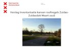 New Verslag Inventarisatie kansen roofvogels Zuidas- Zuidasdok … · 2018. 4. 17. · Roofvogels zijn bij deze inventarisatie niet aangetroffen. Boom met buizerdnest . Gemeente Amsterdam