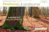 Kabouterzoektocht | Natuurpunt Limburg · Created Date: 3/12/2008 5:43:14 PM