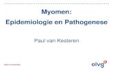 Myomen: Epidemiologie en Pathogenese epidemiologie.pdf · 2019. 12. 3. · Genoom Index. Laat het verschil in DNA zien tussen myoom en sarcoom. Differentieert ‘benigne’ van ‘maligne’