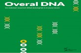 Overal DNA - De Maakbare Mens · 2019. 4. 25. · • Het menselijk genoom is voor 85% gelijk aan dat van een muis. Lees meer (Engelstalig) Fruitvliegjes Fruitvliegjes worden vaak