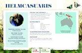 Helmcasuaris - Planckendael · Helmcasuarissen komen voor in Papoea-Nieuw-Guinea, de Molukken en het noorden van Australië. BIOTOOP Ze leven in het regenwoud op gematigde hoogte,