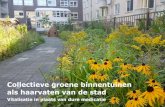 Collectieve groene binnentuinen als haarvaten van de stad · 2018. 6. 12. · rol in de stad in. Waar de openbare ruimte druk en lawaaiig is, vind je in de collectieve binnen-tuinen