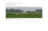 Wandelroutes Oostvaardersplassen - HCChome.hccnet.nl/g.v.rijbroek/wandelroutes_oostvaardersplassen.pdf · Geniet van een weids uitzicht, zie de kudde konikpaarden grazen en speur