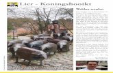Lier - Koningshooikt blad najaar 2017.pdf · hadden toen ze voorbij de pas ontwaakte politici reden. Na een winterslaap van vijf jaar, worden deze partijen wakker in totale onwetendheid.