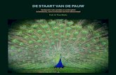 DE STAART VAN DE PAUW - pure.knaw.nl · Vertelcultuur 3 (2016) 2 ISSN 2405-5573. 3 De Staart van de Pauw Onderzoek naar variatie en continuïteit in betekenis, vorm en functie van