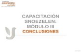CAPACITACIÓN SNOEZELEN: MÓDULO IIIña.es/app/download/5812426276/REFLEXIONE… · mÓdulo iii conclusiones . n conclusiones en este documento se muestran las conclusiones de todos