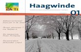 Haagwinde 01 - AVN€¦ · ook onhoudbare situaties waar de groene ruimte voor onze ogen verdampt, zoals in de Schenkstrook. Het is niet fijn om op die manier met de rug tegen de