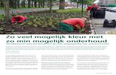 Twaalfduizend vaste planten geven sjeu aan toegangsweg ...€¦ · Reuvers Buro voor Groene Ruimtes maakte het beplantingsplan en Koudenburg Goed in Groen deed de aanplant. ‘Als