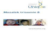 Mozaïek trisomie 8 - Chromosome · (Kosztolanyi 1976; Jordan 1998). Zitten, bewegen en lopen Doorgaans bereikt een kind met mozaïek trisomie 8 de mijlpalen in de ontwikkeling wat