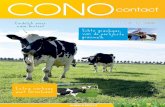 CONOcontact - CONO Kaasmakers · De grond moet droog genoeg zijn, omdat de koeien anders het gras vertrappen. Daarnaast moet het gras lang genoeg zijn, zodat de koeien genoeg te eten