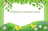 Леспетрушкина.рф/wp-content/uploads/2019/01/derevya-nashego... · лишайники, травы, мхи, грибы, животные и различные микроорганизмы
