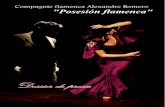 Dossier de presse « Posesión flamenca » Compagnie flamenca ... · « Posesión flamenca : chercher sans cesse différentes propositions, qu’elles soient artistiques ou chorégraphiques,