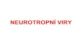 NEUROTROPNÍ VIRY - Univerzita Karlova blok... · Rod: Enterovirus ECHOviry • Enteric Cytopathogenic Human Orphan Viruses • 30 sérotypů: 1-9, 11-27, 29-33 • Pouze typy 4 a
