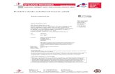 Protokol o zkoušce nehořlavosti hrazení z plastů · Nederland report 2007-Efectis-R0011 [Rev. I] (E) March 2007 åßWKunstsroÿe GmbH, Germany Subject: 214 MSW PVC Buchtenproflles
