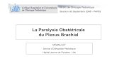 Paralysie obstétricale du plexus brachial · Anatomie descriptive Racines Réunion des branches ventrales des 5e, 6e, 7e et 8e nerfs cervicaux et branche ventrale du 1er nerf thoracique.