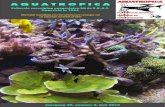 CultureleverenigingaangeslotenbijdeB.B.A.T. Opgirecthin 1 966 ...vaderssellewie.be/aqua-archief/pdf/2014/boekje_06_2014.pdf · Bron: Tropica Aquarium Plants - Vrijevertaling:MartinByttebier,AquatropicaKortrijk