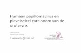 Humaan papillomavirus en plaveiselcel carcinoom van de orofarynx · 2020. 8. 25. · • HPV+ keelkanker gaat uit van tonsil en tongbasis • Presentatie: primaire tumor met metastase(‐n)