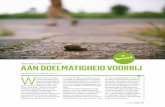 aan doelmatigheid voorbij · 2018. 9. 2. · reportage vanaf het ‘culinaire schateiland’ Texel. Ook bezocht Volzin de abdij Sion in Die-penveen, waar zich volgens pastor Peter