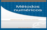 Métodos numéricosaliat.org.mx/.../ingenieria/Metodos_numericos.pdf · 2015. 6. 4. · 4 INTRODUCCIÓN La presente obra tiene como propósito general, servir de guía teórico-didáctica