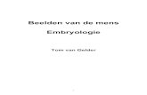 Beelden van de mens Embryologietomvangelder.antrovista.com/pdf/embryologie.pdf · tuinbouw) les heb gegeven was embryologie een van de vakken. In dit boek heb ik opgeschre-ven wat