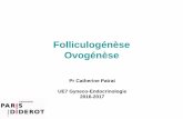 Folliculogénèse Ovogénèse...UE7 Gyneco-Endocrinologie 2016-2017 . FOLLICULOGENESE • Définition: succession des différentes étapes du développement du follicule primordial