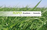ILVO Zaden - Seeds€¦ · Engels en Italiaans raaigras. De eigenschappen van gekruist raaigras bevinden zich tussen deze van Engels (langleefbaarheid) en Italiaans raaigras (productie).